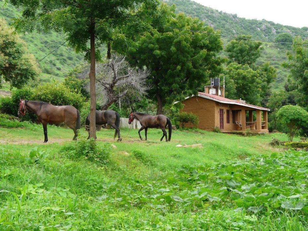 ウダイプル Krishna Ranchヴィラ エクステリア 写真